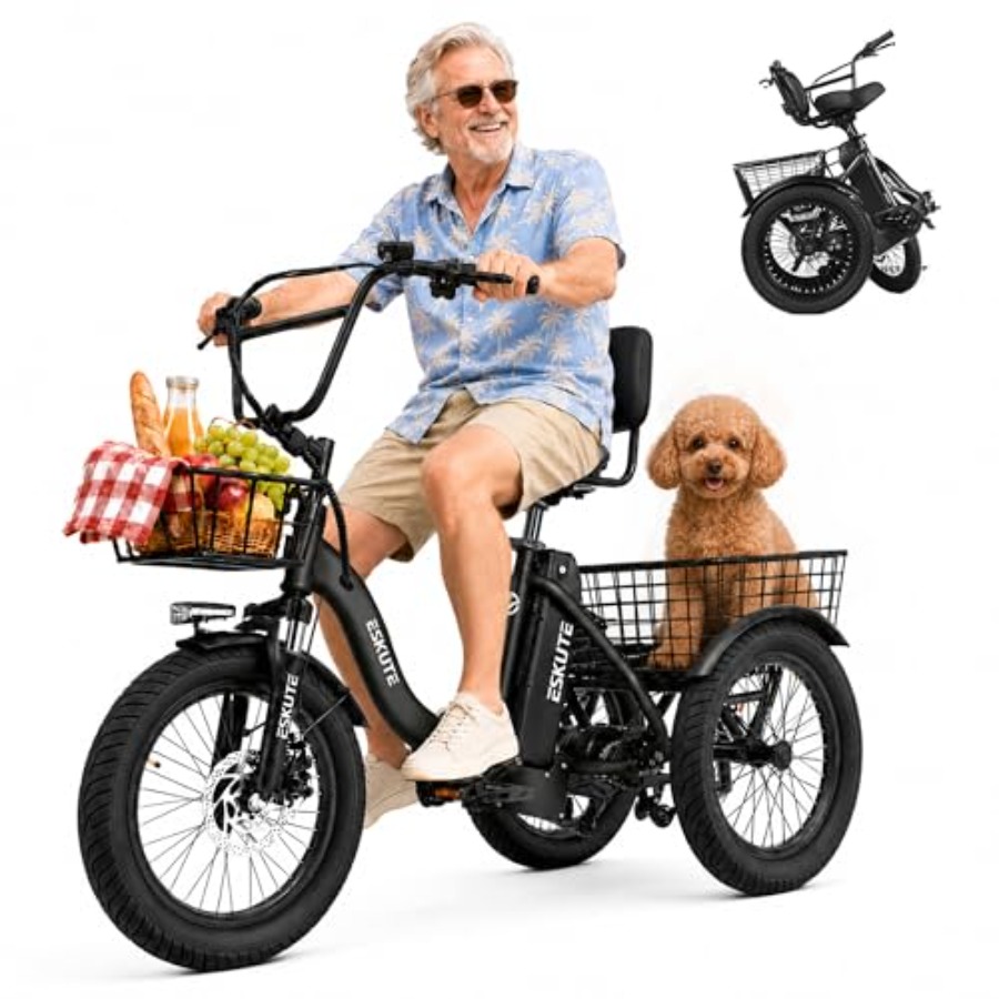 Adults electric trike bike for - Commuting With Bike บทวิจารณ์และราคา