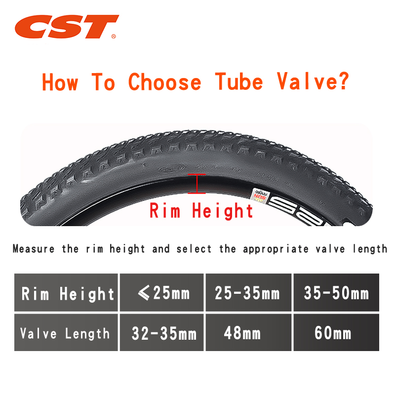 2PCS CST Bike Inner Tubes 20in - Inner Tube 700C บทวิจารณ์และราคา